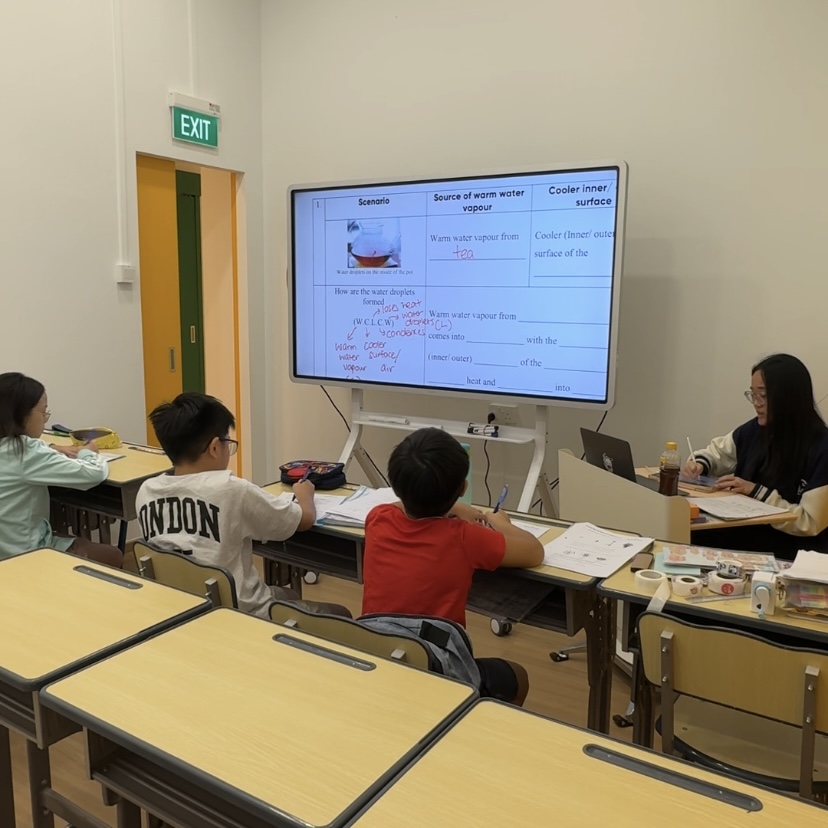 Small Classes, Big Engagement