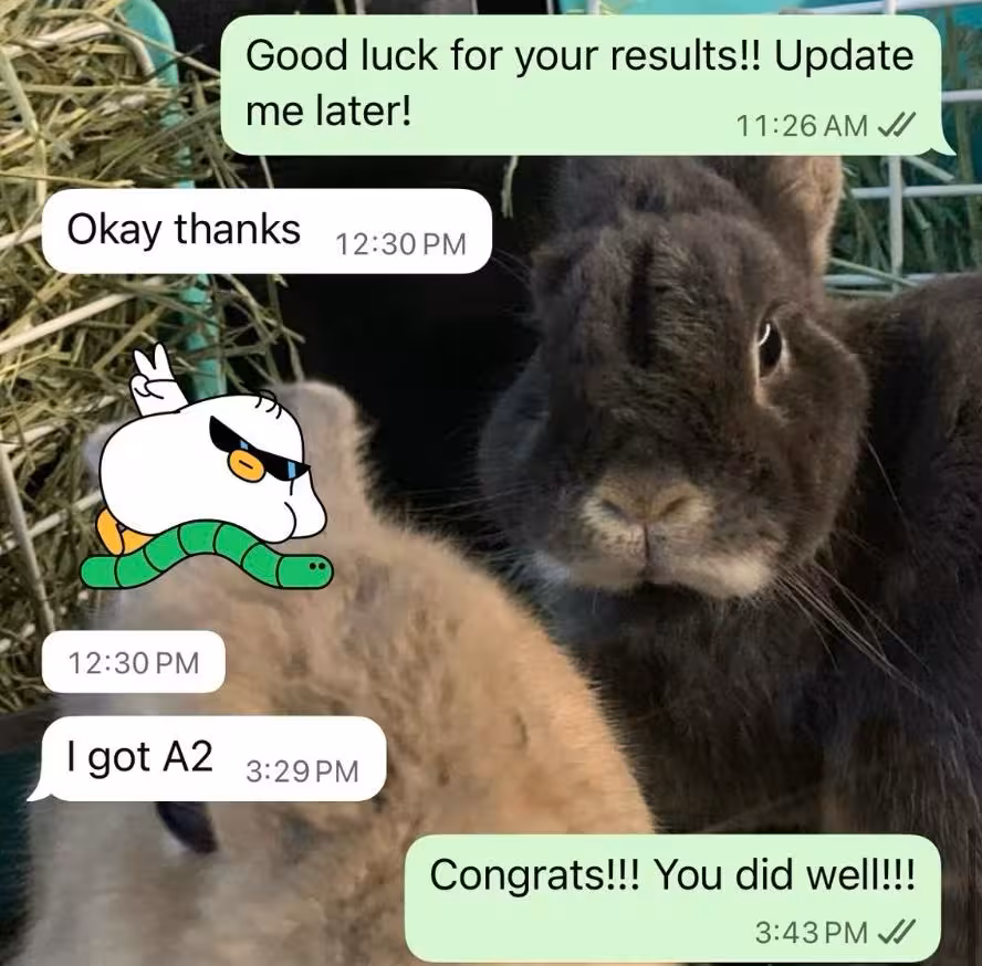 Testimonial 2