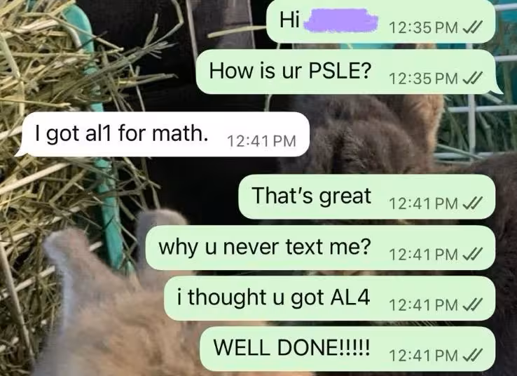 Testimonial 28