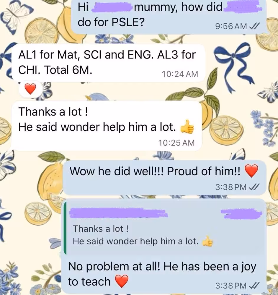 Testimonial 30