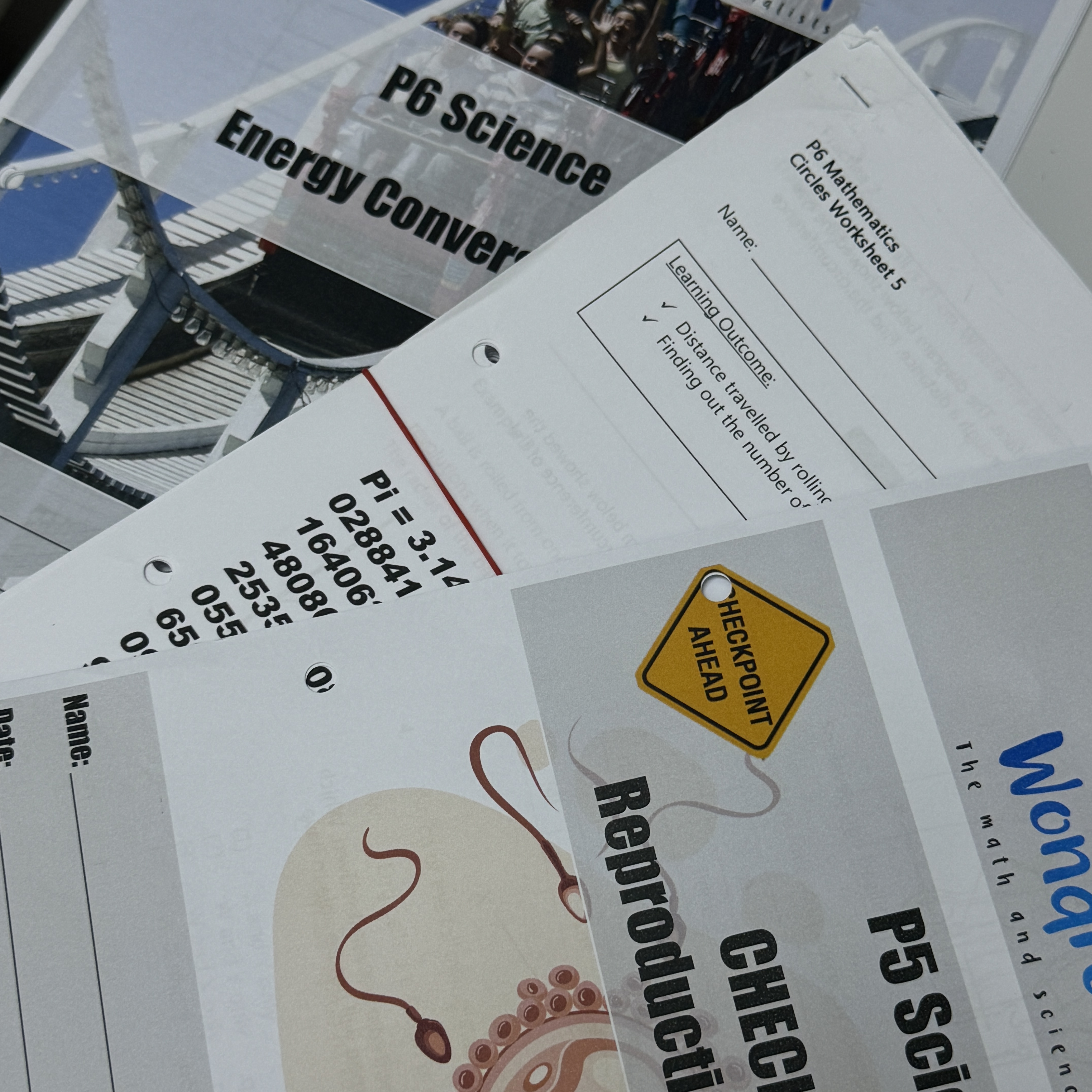 Curriculum design for success